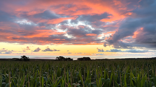 Check for Outside: Beyond the Lens Season 5 airng on a public television station near you!